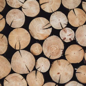 dřevo (wood)