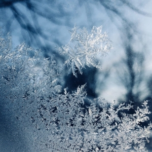 mráz (frost)