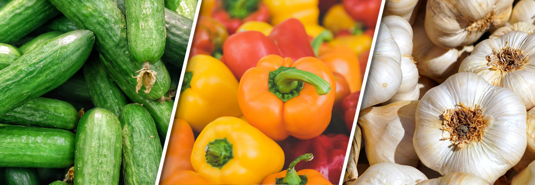 Vocabulary Vegetables Header