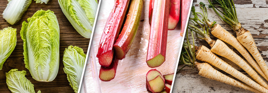 Vocabulary Vegetables 2 Header